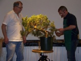 Annual Show 2011 - 42 2011